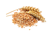 Địa chỉ Công Ty Cung Cấp , Phân phối nông sản chất lượng - giá rẻ tại Trảng Bom - Đồng Nai